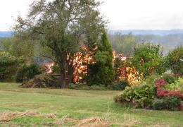 IMG 4083 0