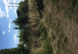 Flächenbrand Biogasanlage