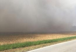 Flächenbrand groß an L202