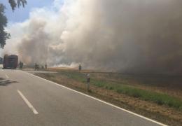 Flächenbrand groß an L202