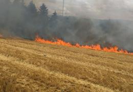 Flächenbrand groß Sosberg Hängeseilbrücke Geierlay