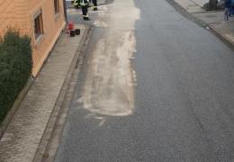 G1 Ölspur Mittelstrimmig Ortsmitte