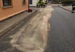 G1 Ölspur Mittelstrimmig Ortsmitte