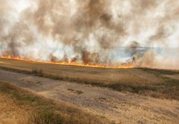 Flächenbrand Groß Tellig